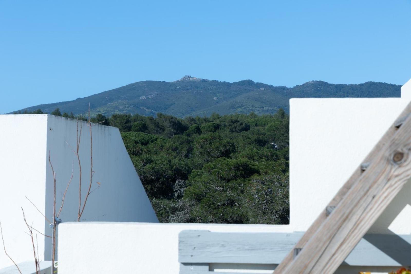 Roots House Villa Cascais Exterior foto